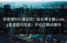 深夜爆料引爆全网！知名博主糖心vlog遭遇圈内风波，评论区瞬间爆炸