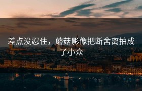 差点没忍住，蘑菇影像把断舍离拍成了小众