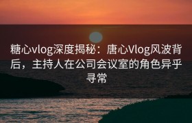 糖心vlog深度揭秘：唐心Vlog风波背后，主持人在公司会议室的角色异乎寻常