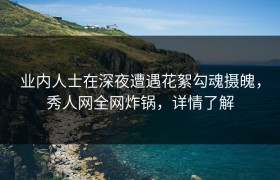 业内人士在深夜遭遇花絮勾魂摄魄，秀人网全网炸锅，详情了解