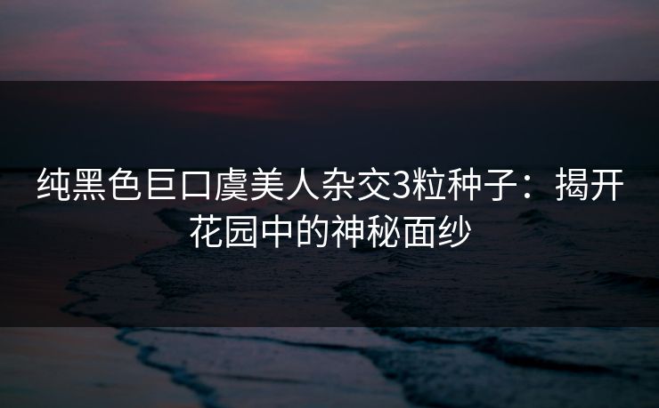 纯黑色巨口虞美人杂交3粒种子：揭开花园中的神秘面纱