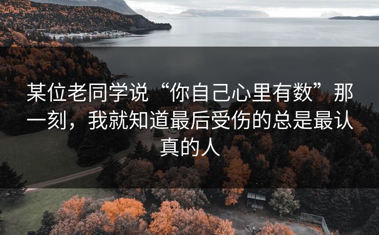 某位老同学说“你自己心里有数”那一刻，我就知道最后受伤的总是最认真的人