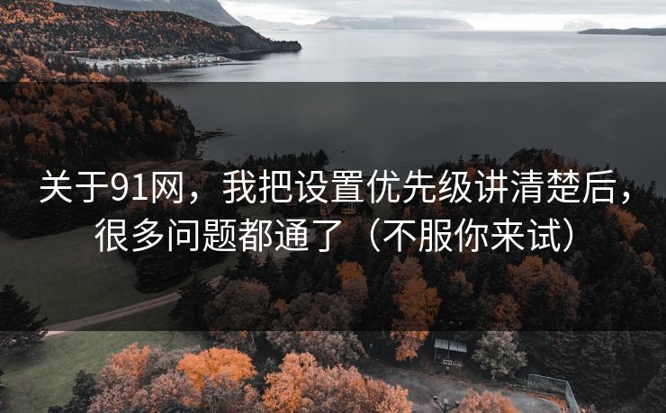 关于91网，我把设置优先级讲清楚后，很多问题都通了（不服你来试）