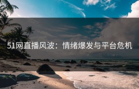 51网直播风波：情绪爆发与平台危机