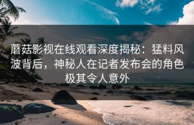 蘑菇影视在线观看深度揭秘：猛料风波背后，神秘人在记者发布会的角色极其令人意外