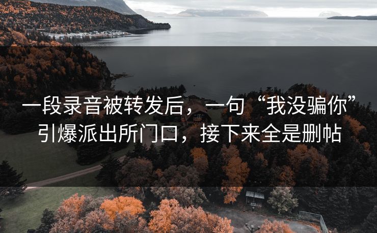 一段录音被转发后，一句“我没骗你”引爆派出所门口，接下来全是删帖